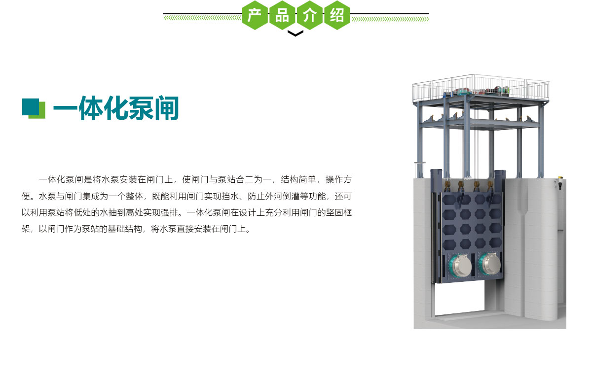 一體化泵閘,華南泵業(yè)