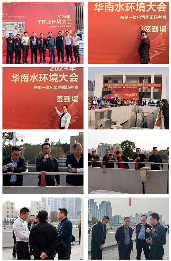 華南泵業(yè),一體化泵閘